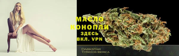 дживик Бородино