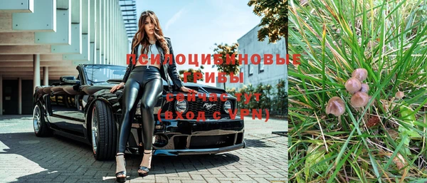 дурь Верея