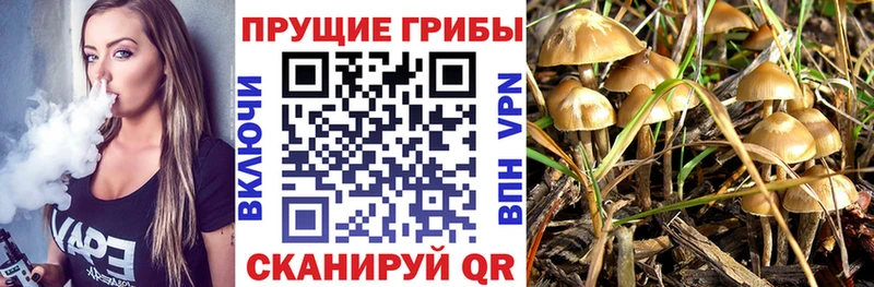 Галлюциногенные грибы мухоморы  где найти   Горняк 